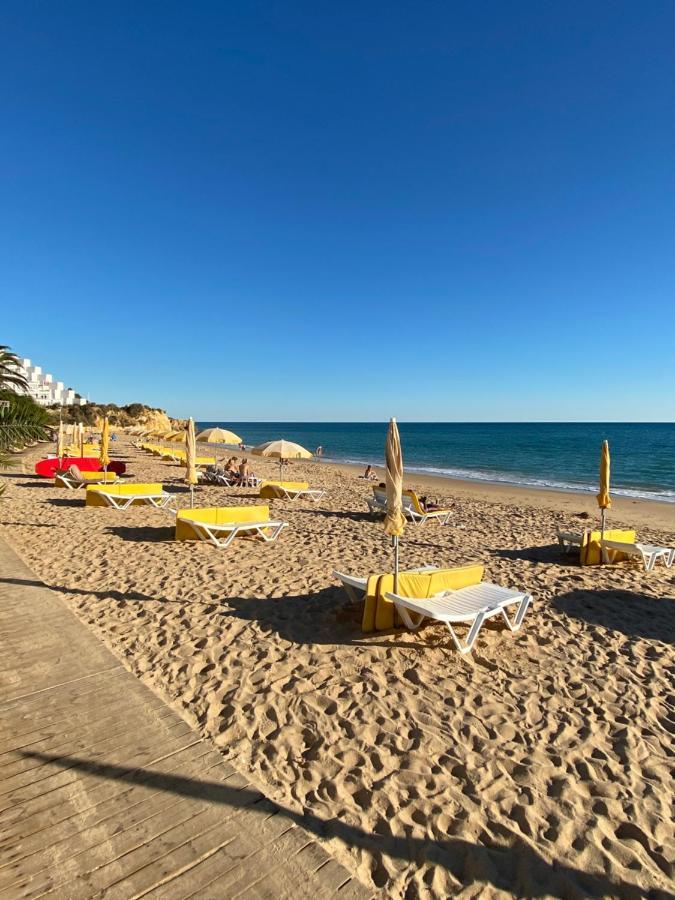 New Algarvegas Paradise Apartment 알부페이라 외부 사진