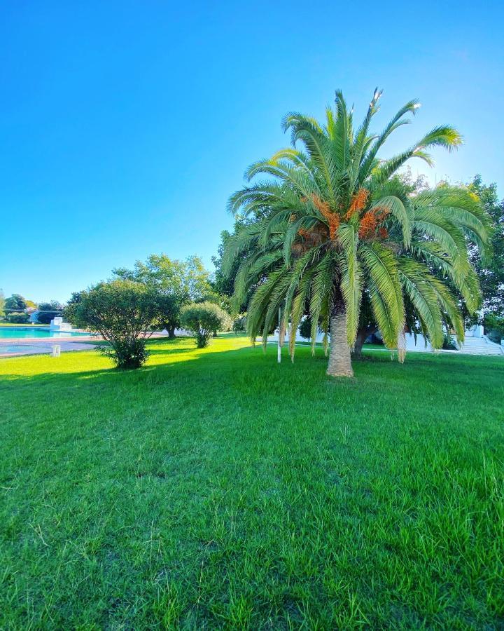 New Algarvegas Paradise Apartment 알부페이라 외부 사진