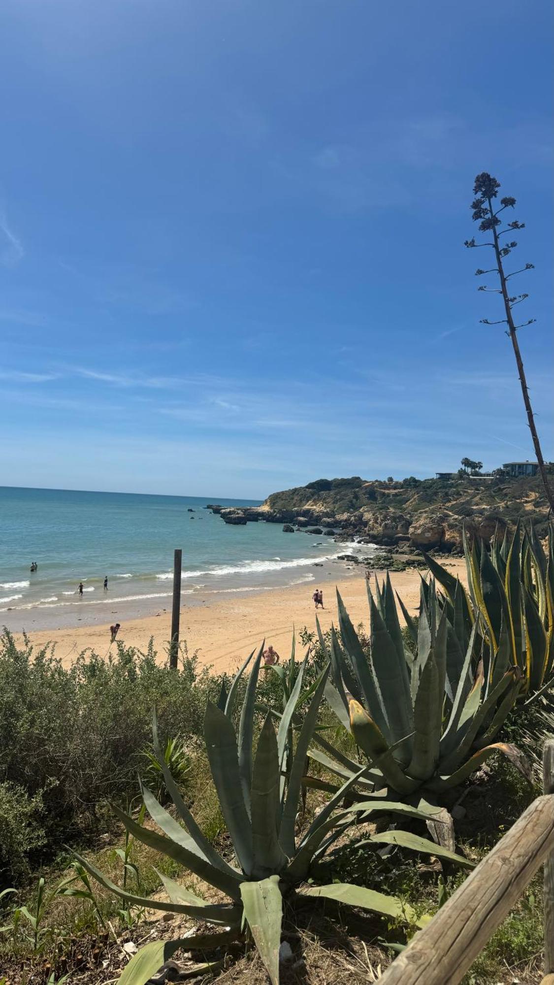 New Algarvegas Paradise Apartment 알부페이라 외부 사진
